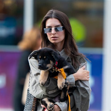 emrata dog|emily ratajkowski dog walking outfits.